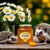 С МЕДОВЫМ СПАСОМ!! :: Наталья ***