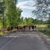 Солдатское ущелье. :: Murat Bukaev
