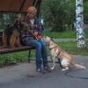 Повседневная жизнь :: юрий поляков