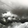 Storm :: Александр