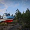 на берегу белого моря :: Артём Евтюхов