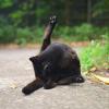 КоТоГраФия :: Константин Сафронов