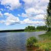 Летний пейзаж :: Александр Щеклеин