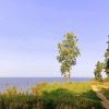 Прибрежный пейзаж в конце августа . :: Мила Бовкун