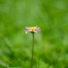 Природа :: Yuriy V