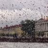 Набережная Невы из окна теплохода. :: Лилия *