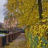 Осень. :: Александр 