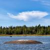 Alands Islands 260826 2 :: Arturs Ancans