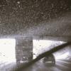 Driving  Under the Rain :: Karlina *** (Елена К)