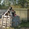 Приютились :: Иван Генералов