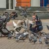 Цвета сентября... :: Ravile 