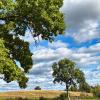 Autumn is coming :: Arturs Ancans