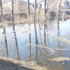 Вешние воды :: Маргарита Б