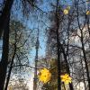 природа шепчет :: Олег Лукьянов