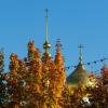 Осень в Дмитрове. :: Анатолий. Chesnavik.