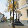 Золотая осень уже в городе :: Галина Бобкина