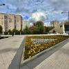 Цветы и геометрия. :: Любовь Броневицкая