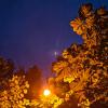 Природа :: Павел Котов