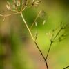 Природа :: Yuriy V