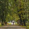 Прогулки в Осеннем Парке :: юрий поляков