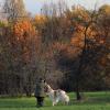 Фотолюбители :: Александр pet2