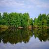 Водная гладь :: Надежда 