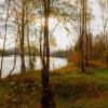 Осенний этюд. :: Евгений Голубев