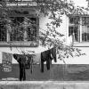 Жизнь :: Владимир Зонов
