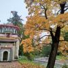 Осень :: Сапсан 