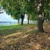 Кировск. Городской парк :: Наталья Герасимова