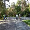 В парке :: Валентина *