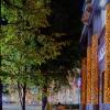 Вечерняя прогулка :: Василий Дворецкий