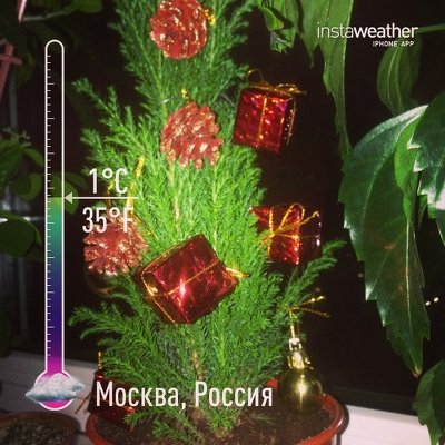 Доброе утро моя Планета! До Нового года всего лишь 9 дней!! А вы всем подарки купили? Срочно по магазинам создавать атмосферу праздника и сказки! #любителиотдыха #любителиотдыхавконтакте#скороновыйгод