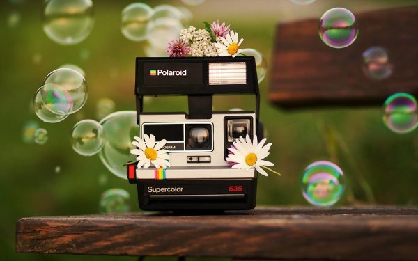 Развитие фотографии. История компании Polaroid