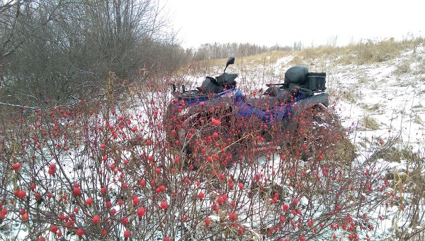 Прогулка на квадре... ;)