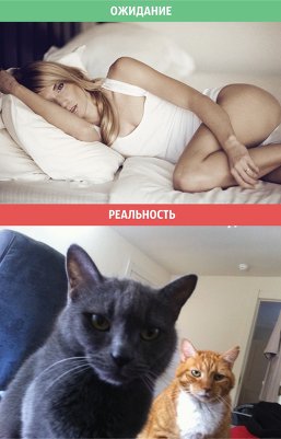 Об отношениях с фото юмором