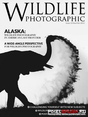 Wildlife Photographic (November-December 2015)