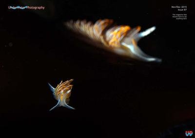 Underwater Photography (November-December 2015)