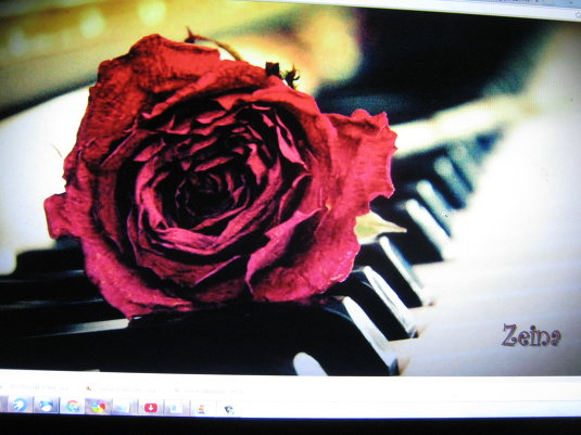 Eli Eli music Eli Elii video