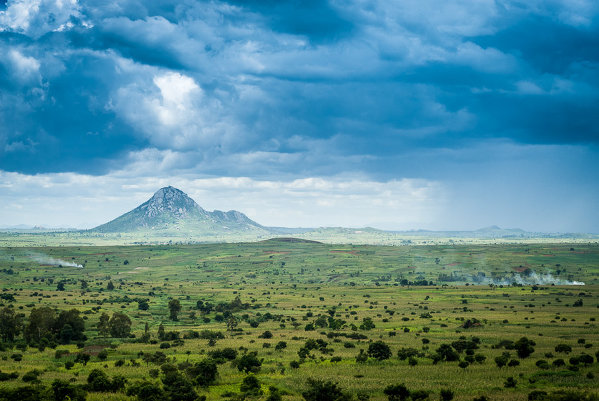 MONTE BINGA
