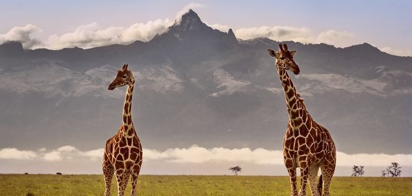 MOUNT KENIA