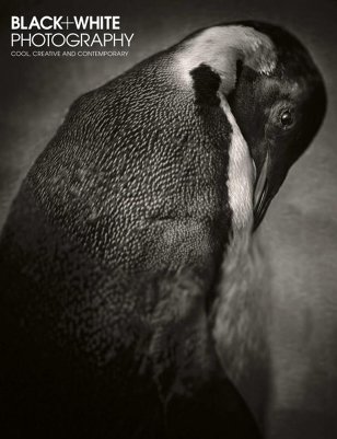 Black & White Photography (March 2016)