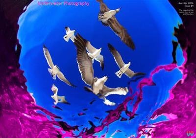 Underwater Photography (March-April 2016)
