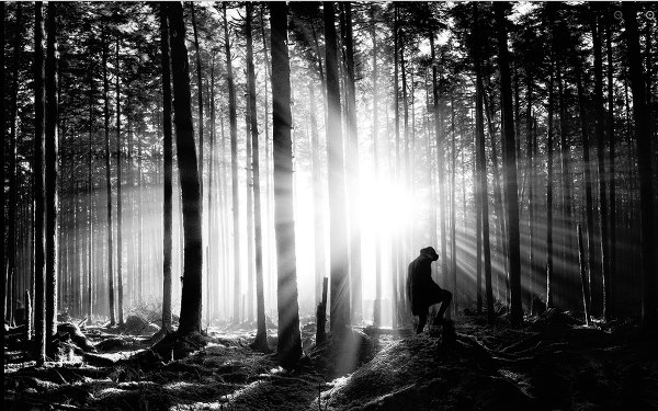 Peter Jamus