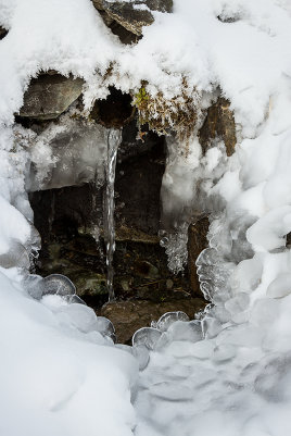 Варвар