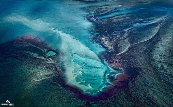 Фотограф Шелдон Петтит