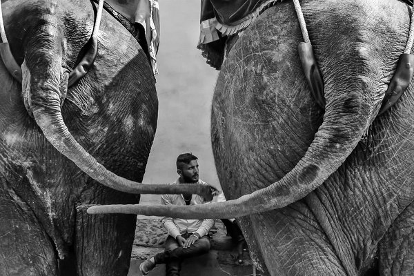 Фотограф Raj Sarkar