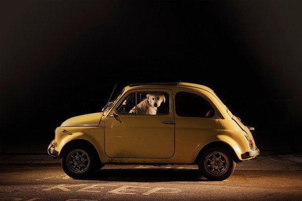 Martin Usborne