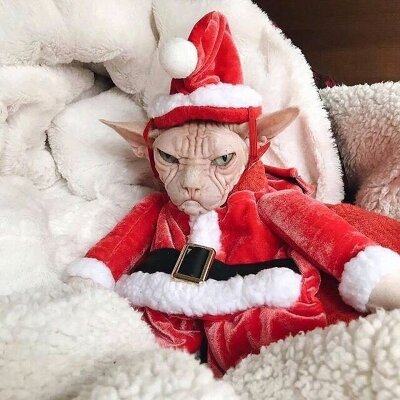 График работы магазинов (для тех, кто любит покупать подарки в экстремально последний момент!)