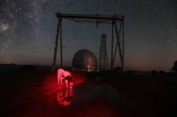 13 апреля. Основы документальной фотографии